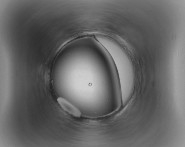 X0000115511361200911061348