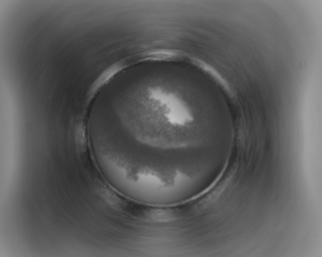 X0000115511362200911061348