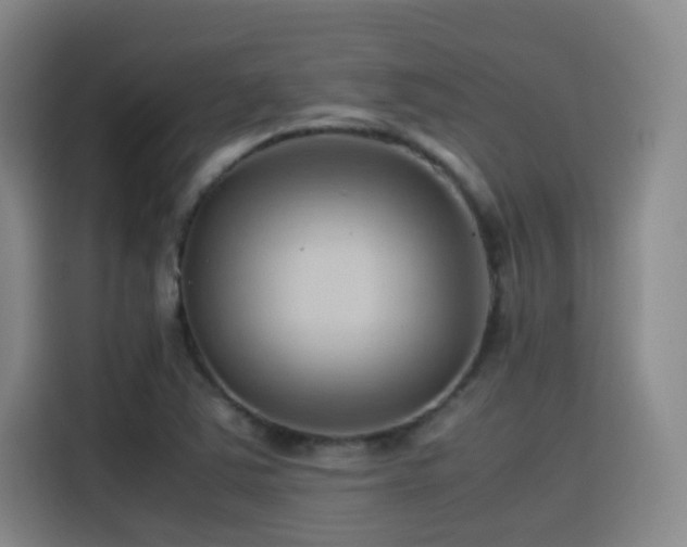 X0000115511363200911061348