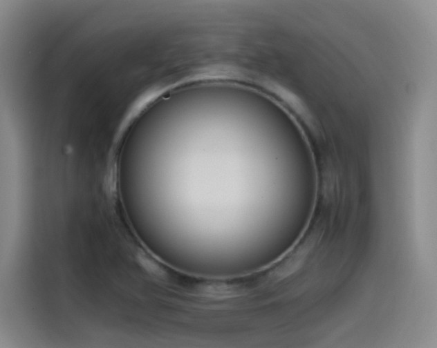 X0000115511366200911061348
