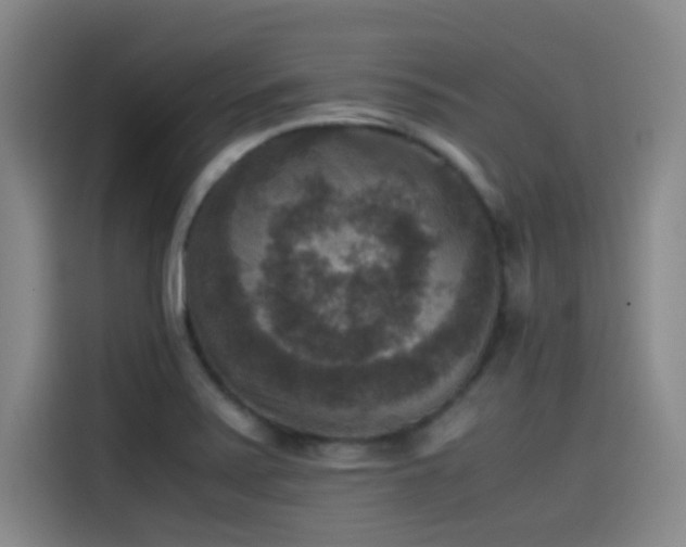 X0000115511371200911061348