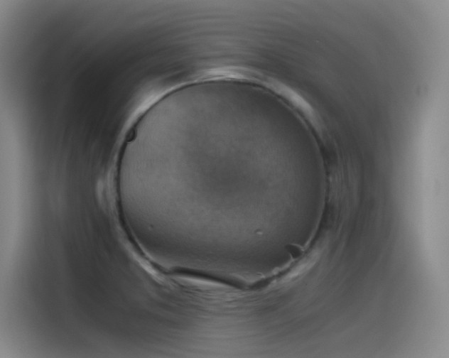 X0000115511373200911061348