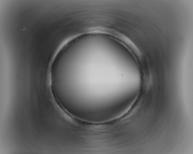 X0000115511376200911061348