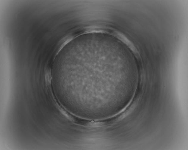 X0000115511377200911061348