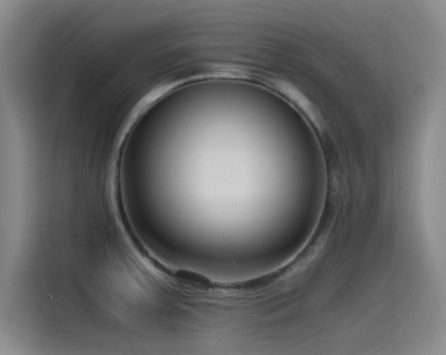 X0000115511379200911061347
