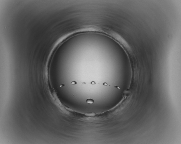 X0000115511380200911061347