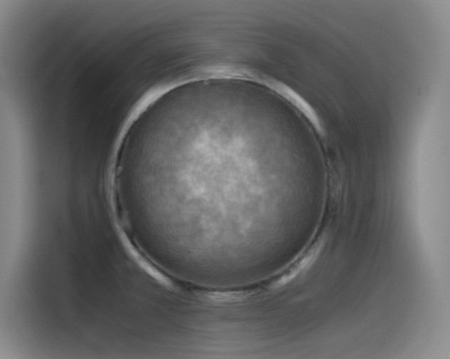 X0000115511381200911061347