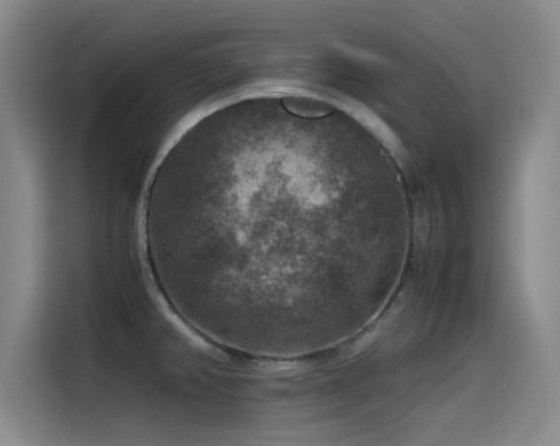 X0000115511382200911061347