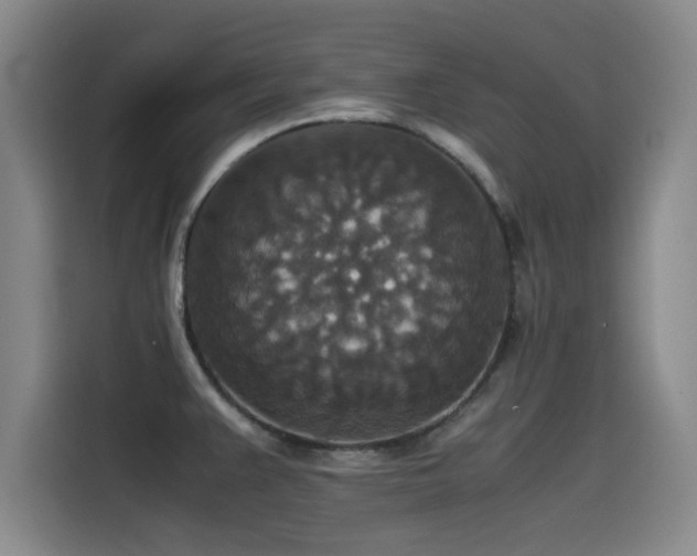 X0000115511383200911061347