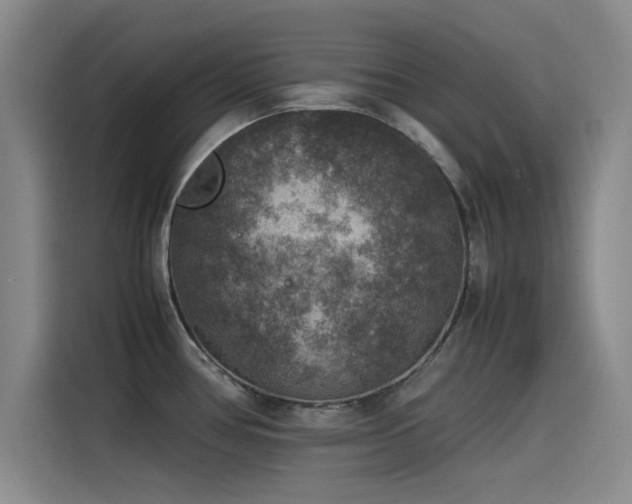 X0000115511386200911061347