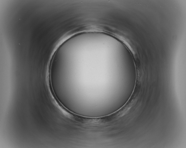 X0000115511387200911061347