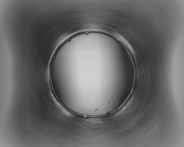 X0000115511388200911061347