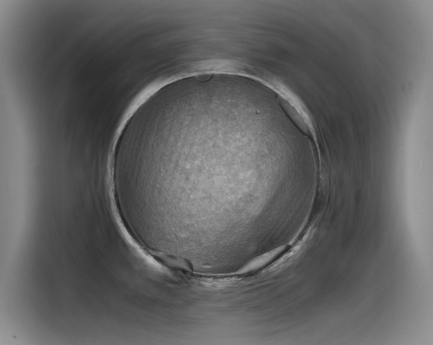 X0000115511389200911061347