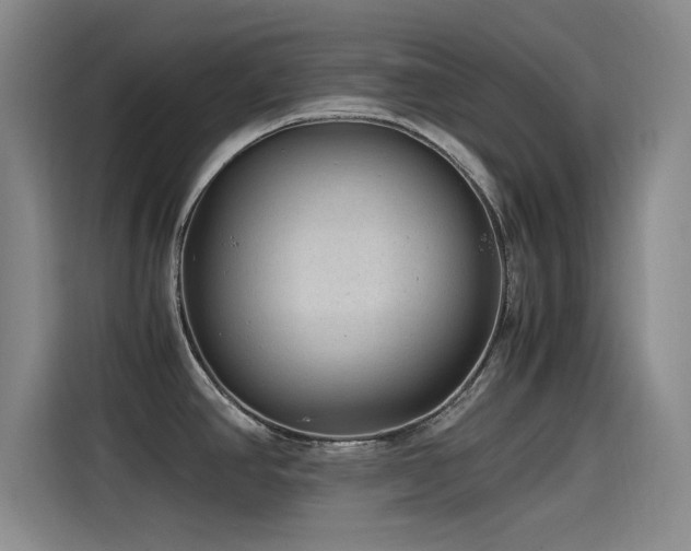 X0000115511390200911061347