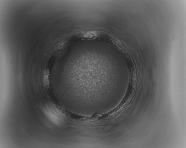 X0000115511394200911061347