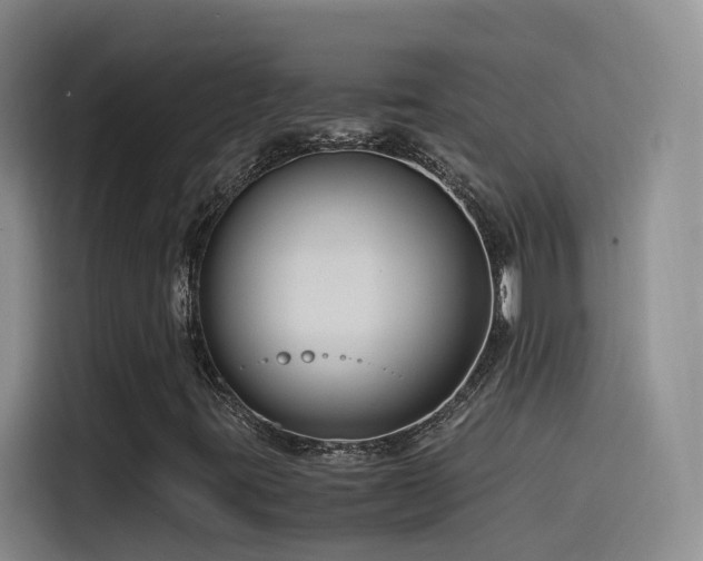 X0000115511395200911061347
