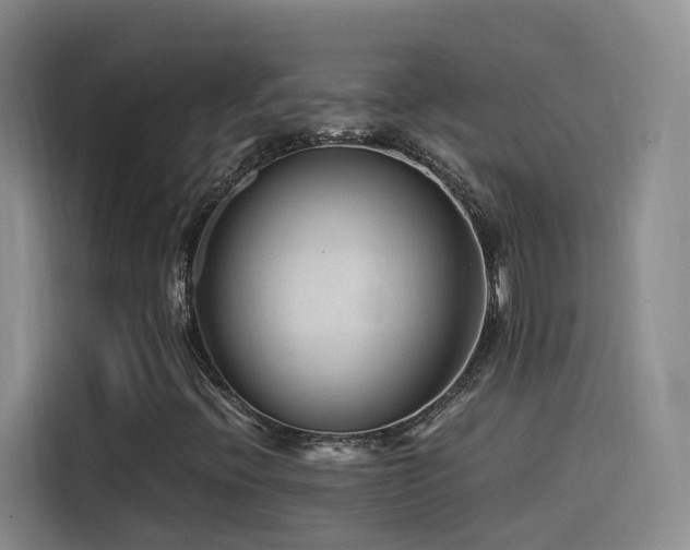 X0000115511396200911061347