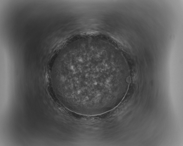 X0000115511397200911061347