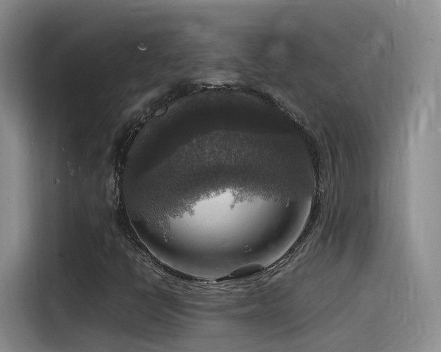 X0000115511398200911061347