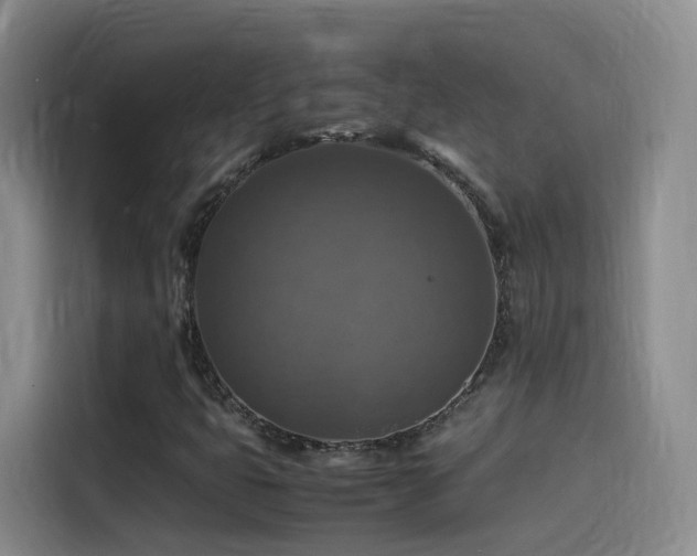 X0000115511399200911061347