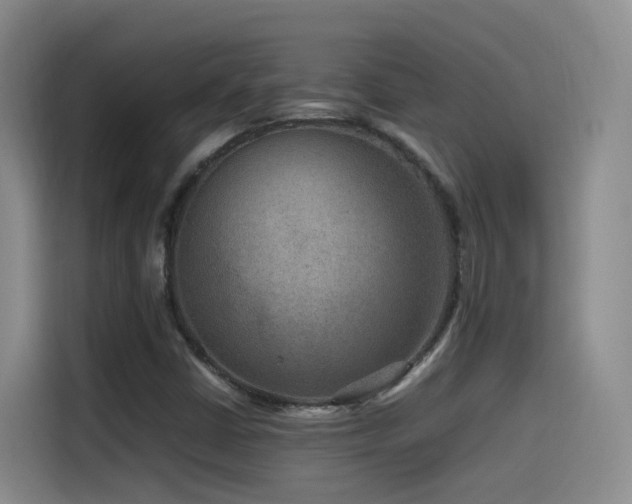 X0000115511402200911061347