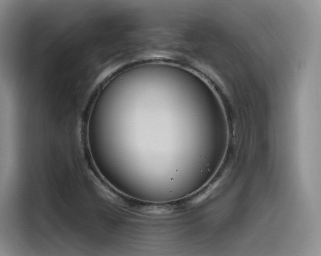 X0000115511404200911061347