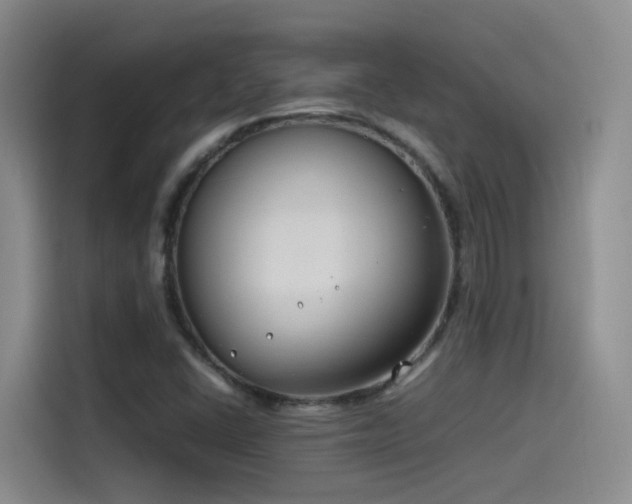X0000115511406200911061347