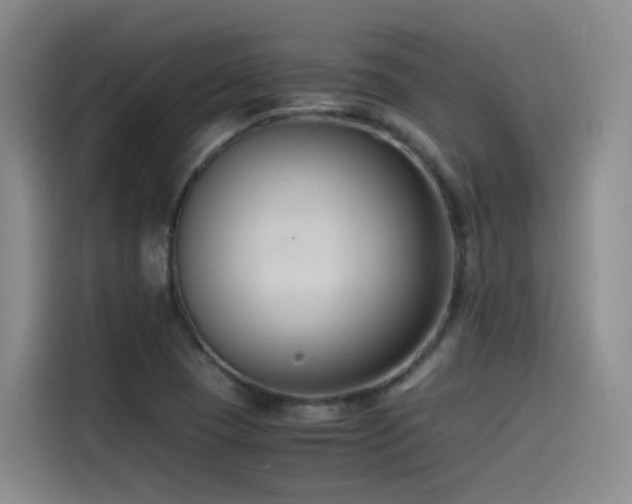 X0000115511409200911061347