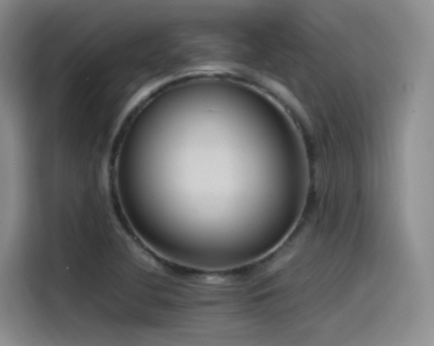 X0000115511412200911061347