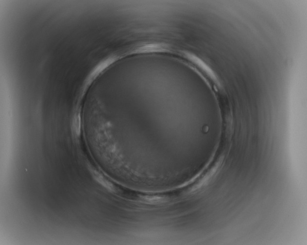 X0000115511413200911061347