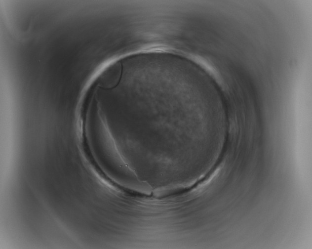 X0000115511414200911061347