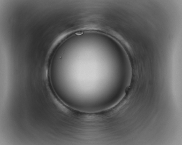 X0000115511416200911061347