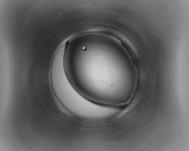 X0000115511417200911061347