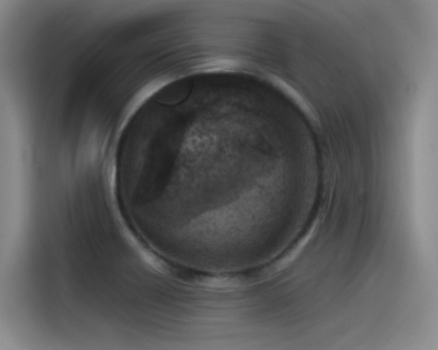X0000115511418200911061347