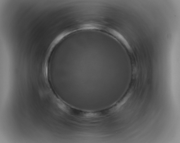 X0000115511419200911061347