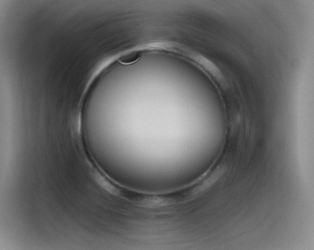 X0000115511420200911061347