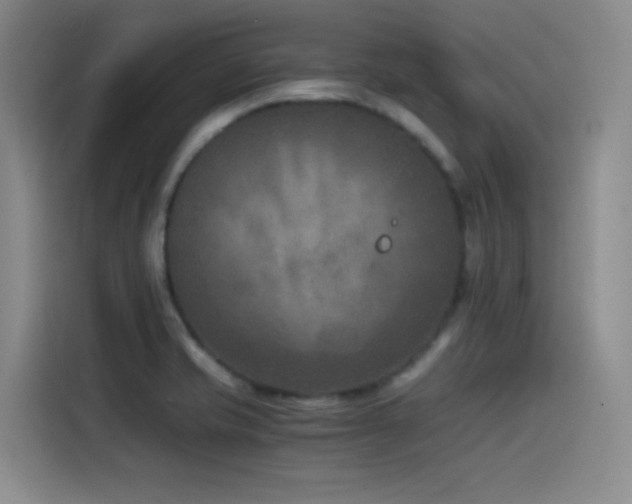 X0000115511421200911061347