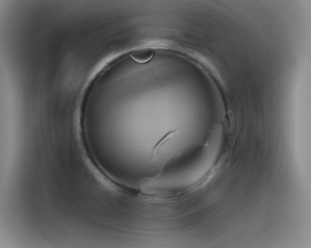 X0000115511422200911061347