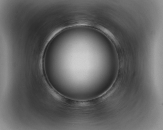 X0000115511423200911061347