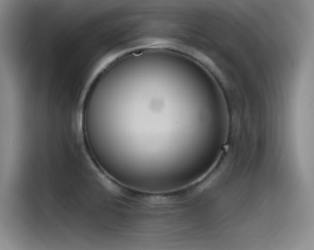 X0000115511424200911061347