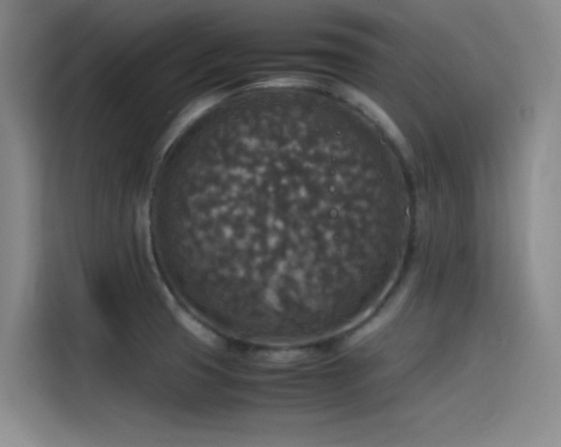 X0000115511425200911061347