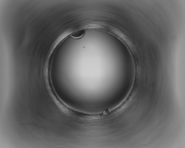 X0000115511426200911061347