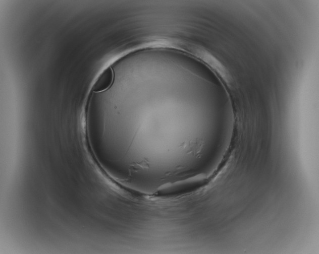 X0000115511428200911061347
