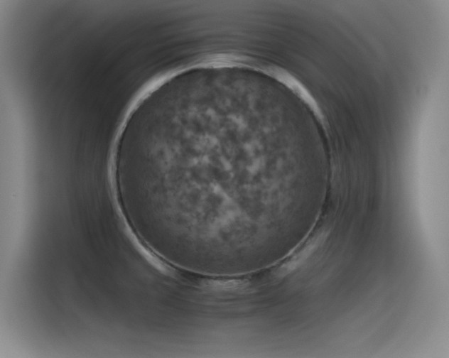 X0000115511429200911061347