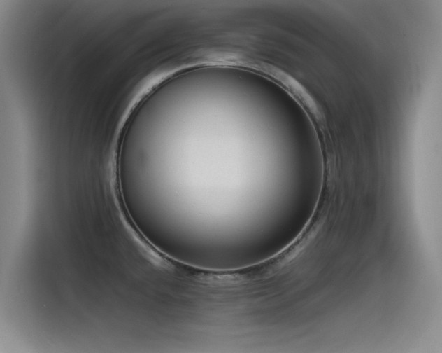 X0000115511432200911061347