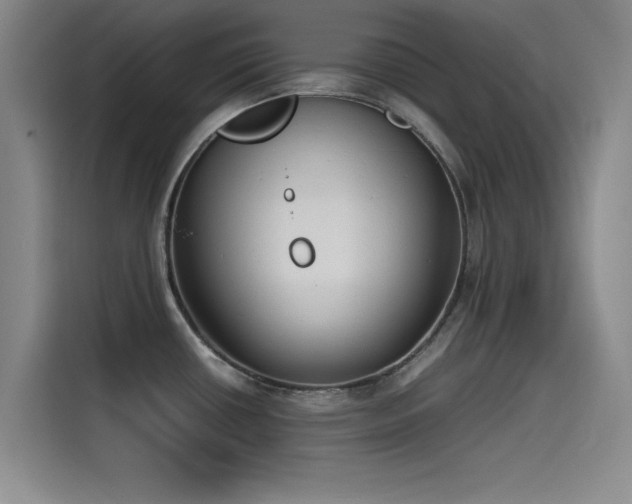 X0000115511434200911061347
