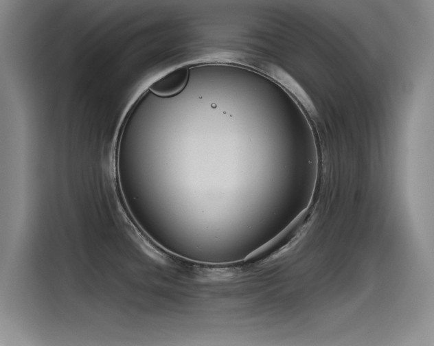 X0000115511436200911061347