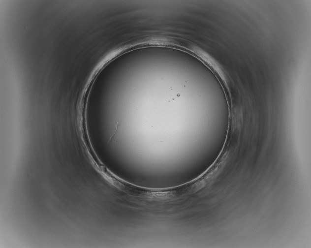 X0000115511437200911061347