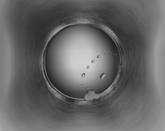 X0000115511439200911061347