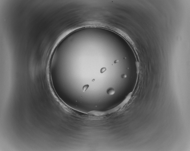 X0000115511440200911061347
